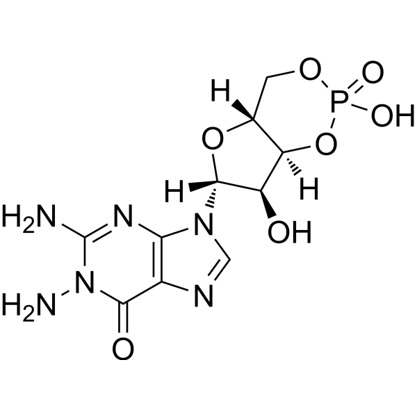 1-NH2-cGMP 78033-42-8